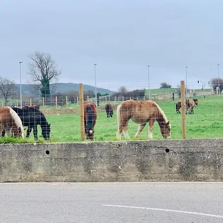 3 Bedrooms 80m2 Alto Campoo Cantabria Apartamento Reinosa
