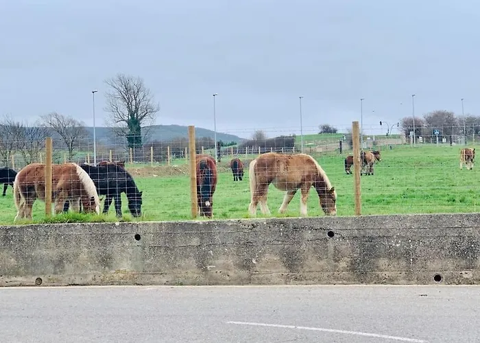 3 Bedrooms 80m2 Alto Campoo Cantabria Appartamento Reinosa